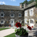 54740_774105_40 fleur